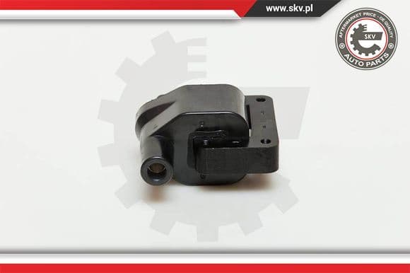 Ignition Coil 03SKV096