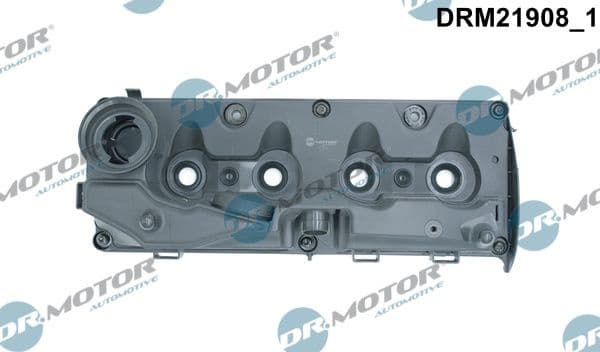 Cylinder Head Cover DRM21908