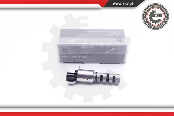 Control Valve, camshaft adjustment 39SKV034