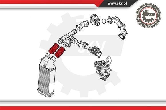 Charge Air Hose 24SKV868 - image 4