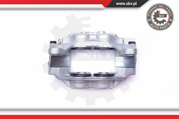 Brake Caliper 42SKV172