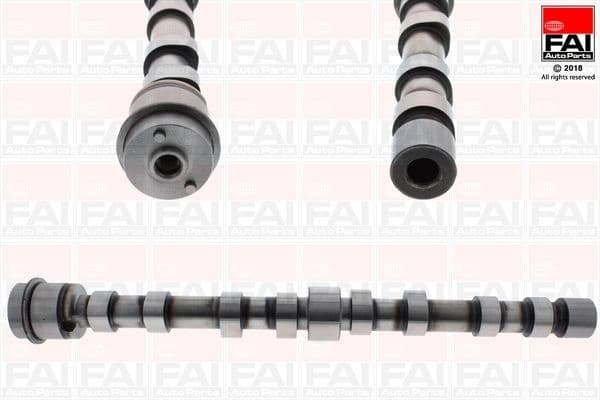 Camshaft C390