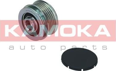 Alternator Freewheel Clutch RC115 - image 2