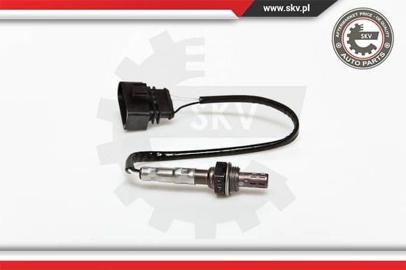 Oxygen Sensor 09SKV020