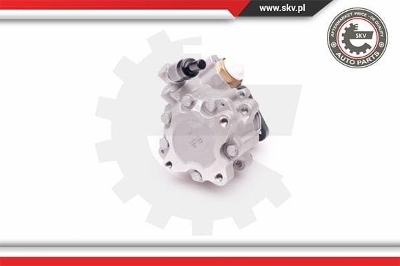 Hydraulic Pump, steering 10SKV239