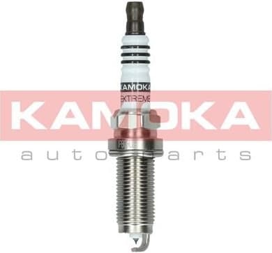 Spark Plug 7100043