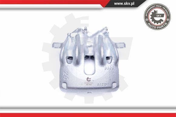 Brake Caliper 42SKV721