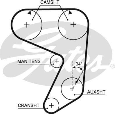 Timing Belt PowerGrip™ 5005