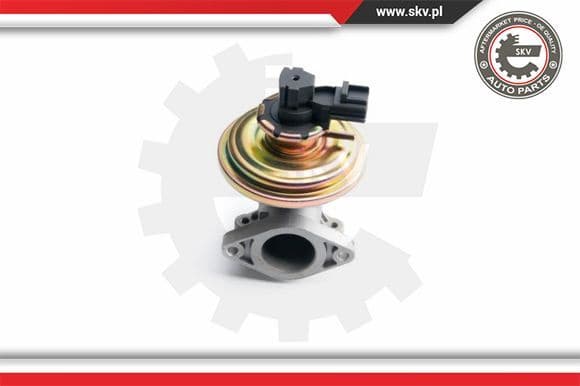 EGR Valve 14SKV097