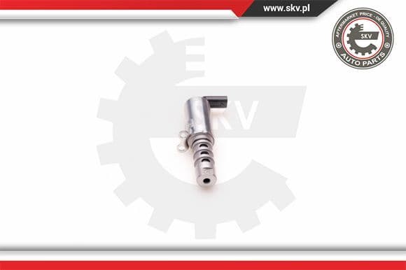 Control Valve, camshaft adjustment 39SKV011
