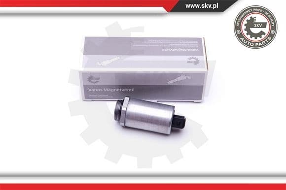 Control Valve, camshaft adjustment 39SKV047