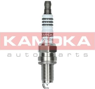 Spark Plug 7100048