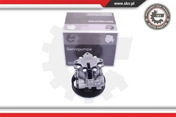 Hydraulic Pump, steering 10SKV241