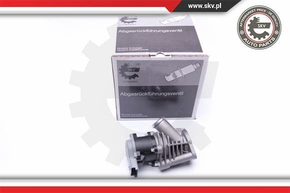 EGR Valve 14SKV173