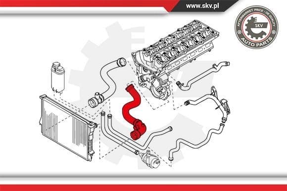Radiator Hose 24SKV202 - image 3