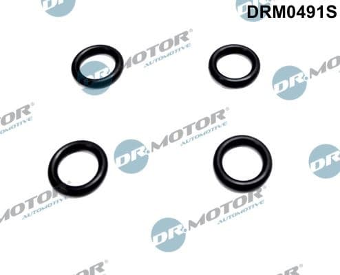 Seal Ring, injector DRM0491S