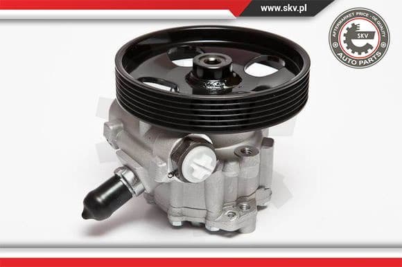 Hydraulic Pump, steering 10SKV023