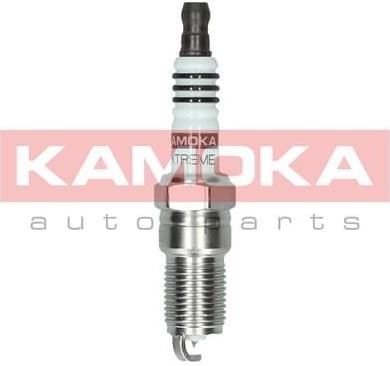Spark Plug 7100037