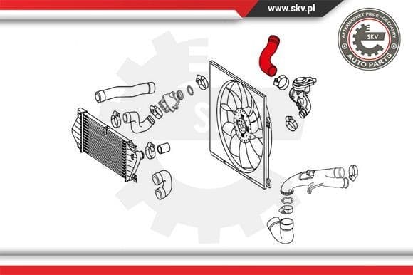Charge Air Hose 24SKV944 - image 4