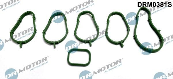 Gasket Set, intake manifold DRM0381S