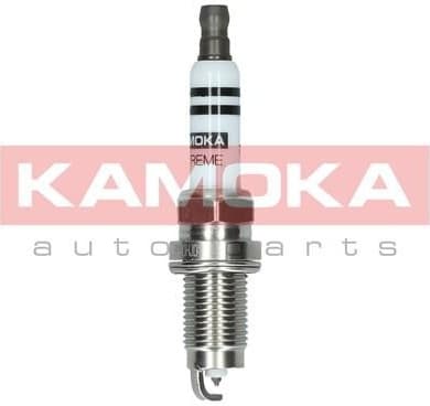 Spark Plug 7090012