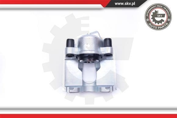 Brake Caliper 42SKV192