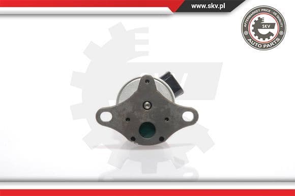 EGR Valve 14SKV017