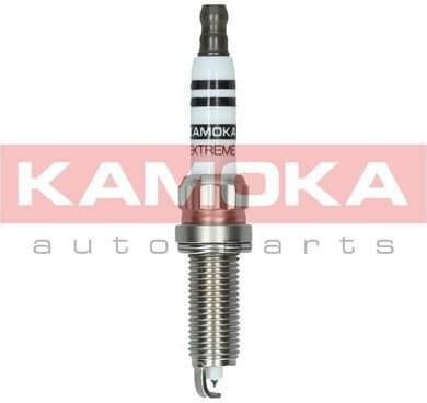 Spark plug 7090013