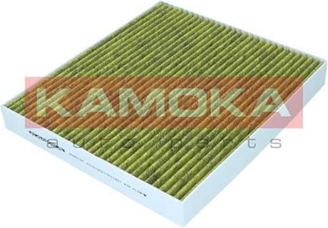 Filter, cabin air 6080138