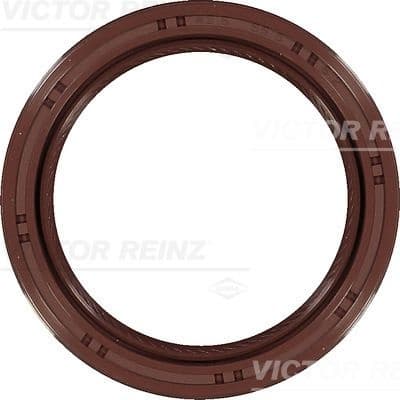 Shaft Seal, crankshaft 81-10380-00