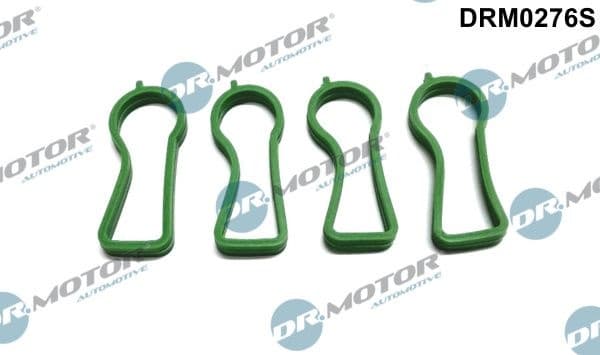 Gasket Set, intake manifold DRM0276S