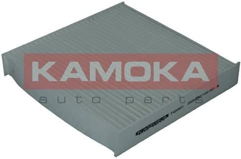 Filter, cabin air F420601