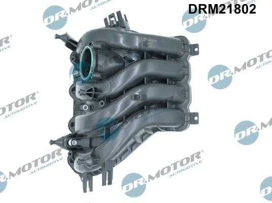 Intake Manifold Module DRM21802