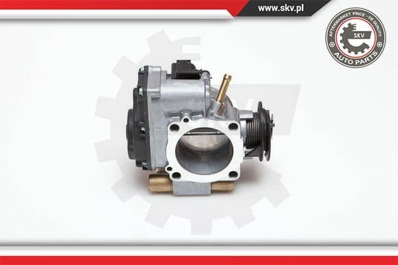 Throttle Body 12SKV005