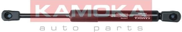 Gas Spring, bonnet 7091051