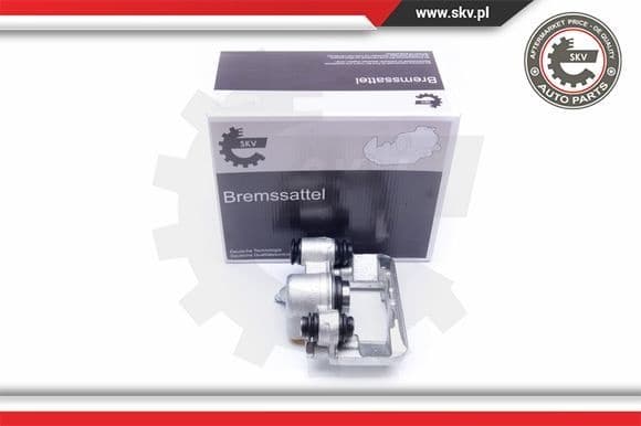 Brake Caliper 42SKV284