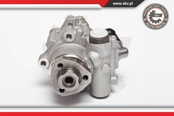 Hydraulic Pump, steering 10SKV018