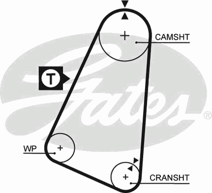 Timing Belt PowerGrip™ 5030