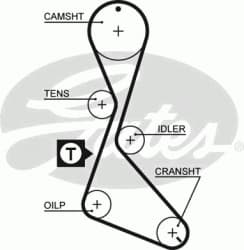 Timing Belt PowerGrip™ 5056