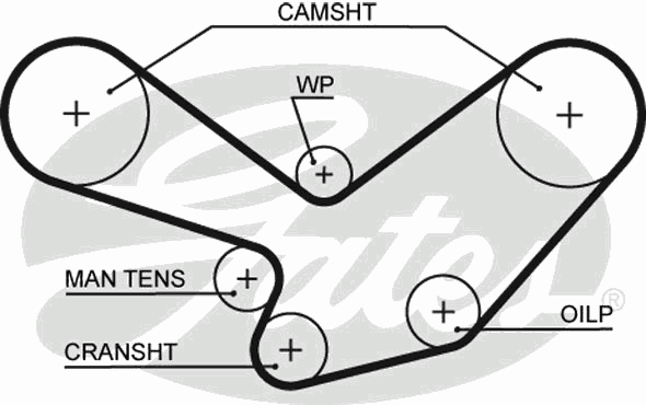 Timing Belt PowerGrip™ 5098XS