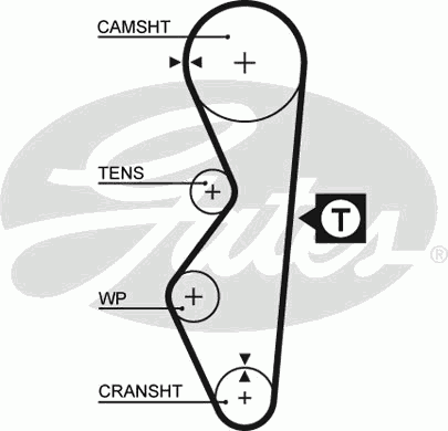 Timing Belt PowerGrip™ 5124