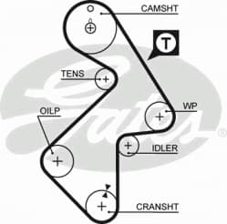 Timing Belt PowerGrip™ 5202XS