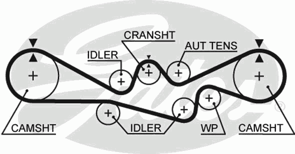 Timing Belt PowerGrip™ 5241