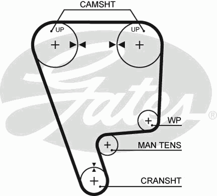 Timing Belt PowerGrip™ 5348XS