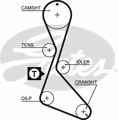 Timing Belt PowerGrip™ 5370XS
