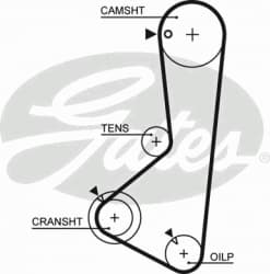Timing Belt PowerGrip™ 5374XS