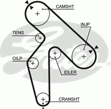 Timing Belt PowerGrip™ 5391XS