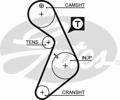 Timing Belt PowerGrip™ 5395
