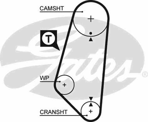 Timing Belt PowerGrip™ 5400