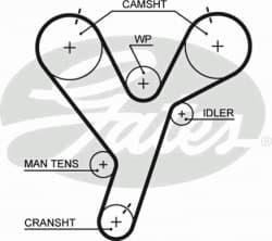 Timing Belt PowerGrip™ 5446XS